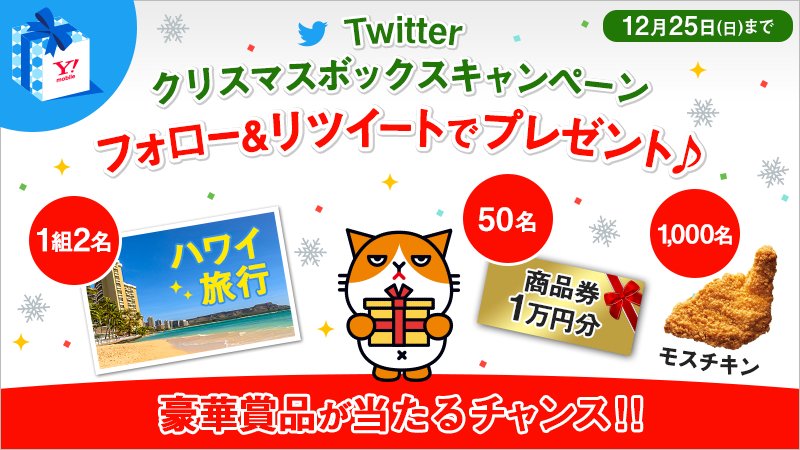 ymobileOfficial's tweet photo. ＼当たったら何買おうかニャ…♥／
商品券1万円分が50名等、豪華賞品が当たる🎁
応募は@ymobileOfficialをフォロー＆RTのみ✨
結果もすぐ出る♪RT前にフォローを忘れずに！
https://t.co/w0YFqigOyU
#ワイモバイルに願いを #クリスマスボックス https://t.co/6ETNehq0E3
