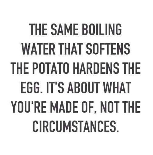 gtcrea8's tweet photo. #WednesdayWisdom https://t.co/JHOznkASRX
