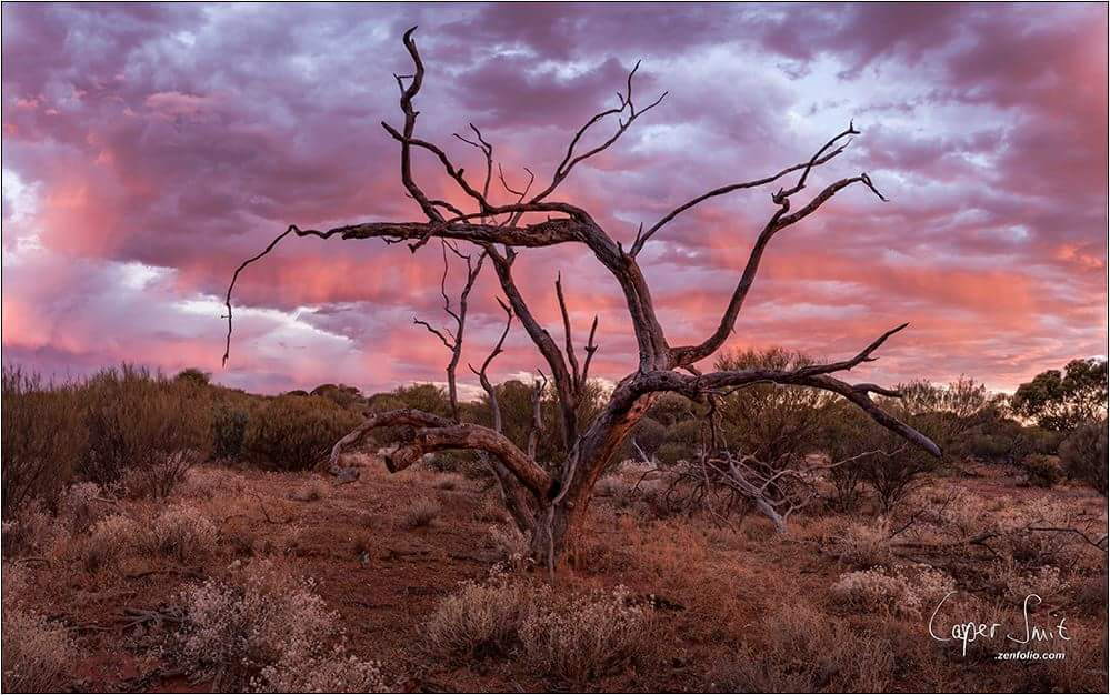 Casper Smit tweet media