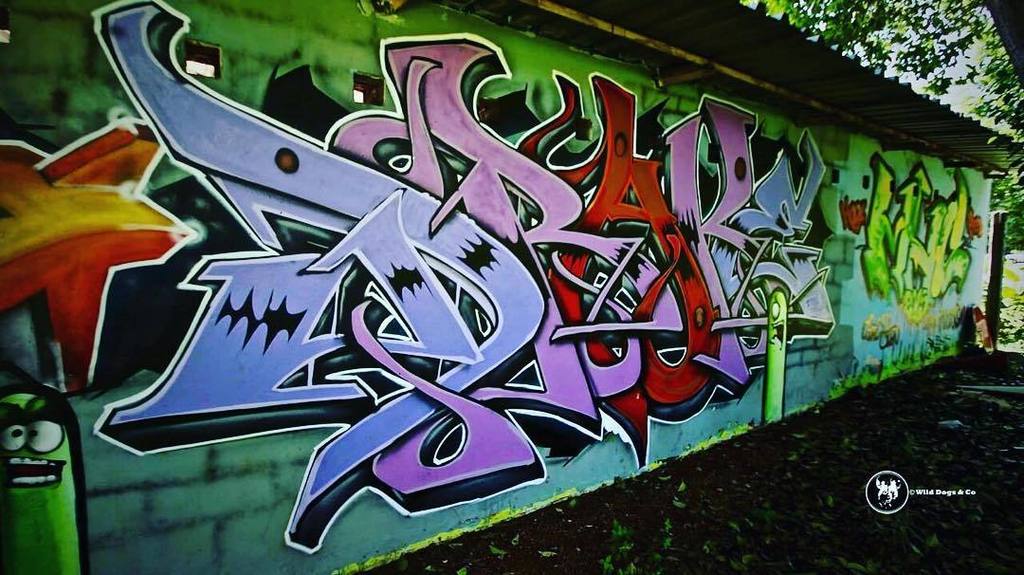 WorriedWanderer's tweet photo. Bright walls! #graffiti 📸@wilddogsandco https://t.co/kQ42gEKbNW https://t.co/Ra6fSywxPR