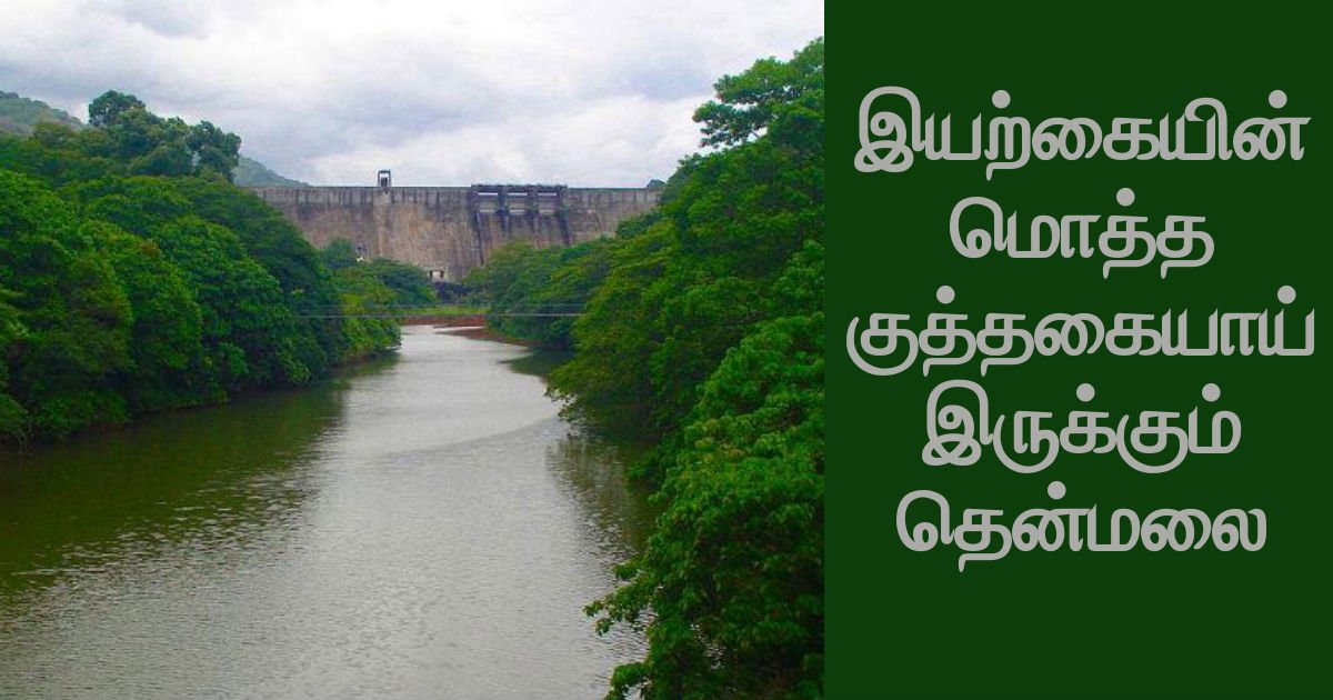 NativeplanetHi's tweet photo. தென்மலை - செங்கோட்டையருகே ஒரு சொர்க்கம்
https://t.co/wLReGALz9Y
#Thenmalai #EcoTourism https://t.co/69wGqsg9jm