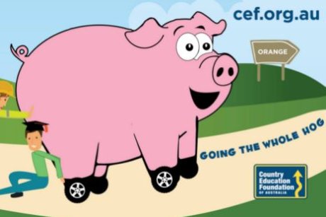 Giant pink pig making its way through the countryside. #rural <a href="/AgChatOZ/">AgChatOZ</a> #charity mobile.abc.net.au/news/2016-11-3…