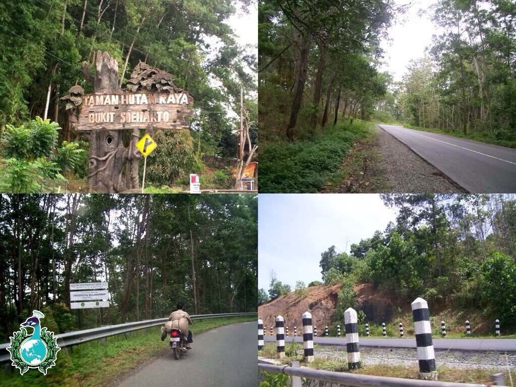 Ectivist_ID's tweet photo. Penambangan batu bara di Hutan Raya Bukit Soeharto merusak habitat sekitar. #MassDestruction https://t.co/ow9hwnzqJs