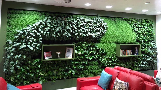 ProLandscaperCB's tweet photo. In the Landscaping Industry? Then give this fantastic article a read. Scotscape are looking for SA partners. 

https://t.co/paK4FHKL8m https://t.co/5IAyIUsIXR