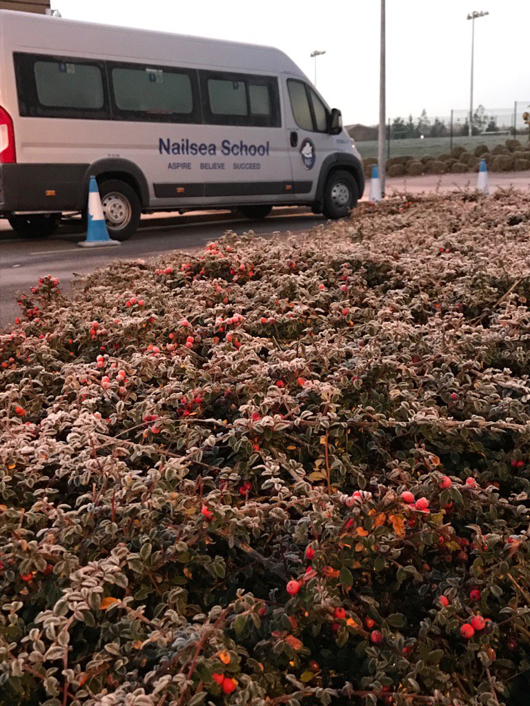It's a chilly one this morning <a href="/nailseaschool/">Nailsea School</a>
