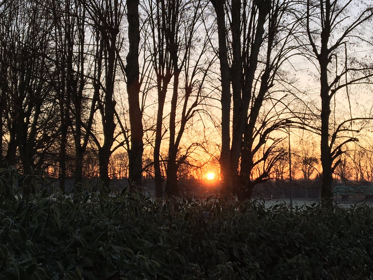 ARIAmusique's tweet photo. #AXAGradCamp sunriseeee https://t.co/v2ZAktbIaX