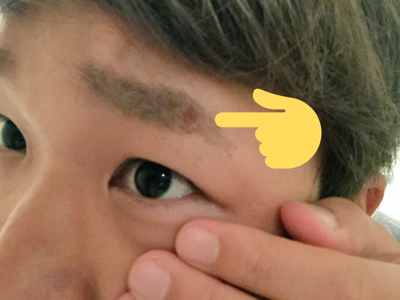 ごうちを No Twitter 髪の毛染めて眉も染めてもらってんけど シャンプー担当した韓国人鬼の雑さで眉毛のカラー剤 乾燥したタオルでゴシゴシとられて眉毛の皮膚持ってかれた痛すぎるし変な事なってるし 反対側は事件過ぎて自粛 T Co 6vd4k95jvl Twitter