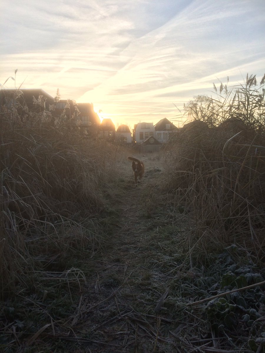 TeunDeToller's tweet photo. Good morning human friends, have a good middle of the week day and come home safely again. ❤️
#TeunDeToller #AlmostWeekend #ComeHomeSafely https://t.co/OeCY4BdKNL