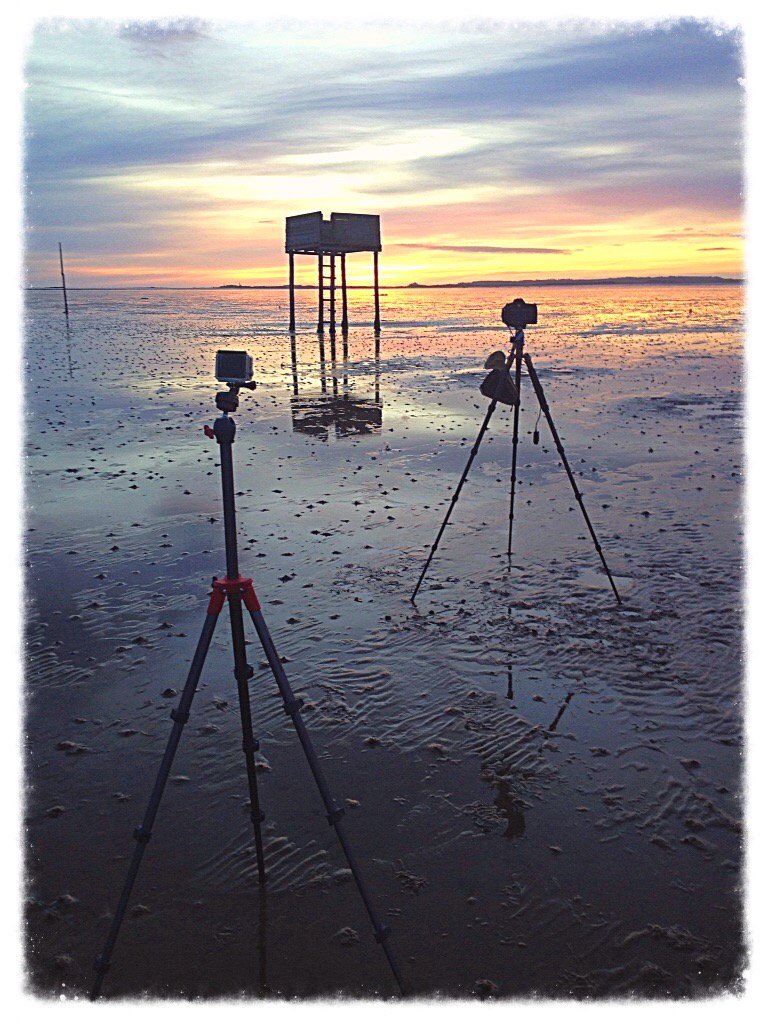 NinjaNorthern's tweet photo. Made with #aviary https://t.co/rfUq5FBNSs. Not a bad start T day. #Lindisfarne causeway. Bloody cold tho! i phone 4s. https://t.co/NBnoDD2O3z