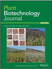 ebook Dollars for Terror: The