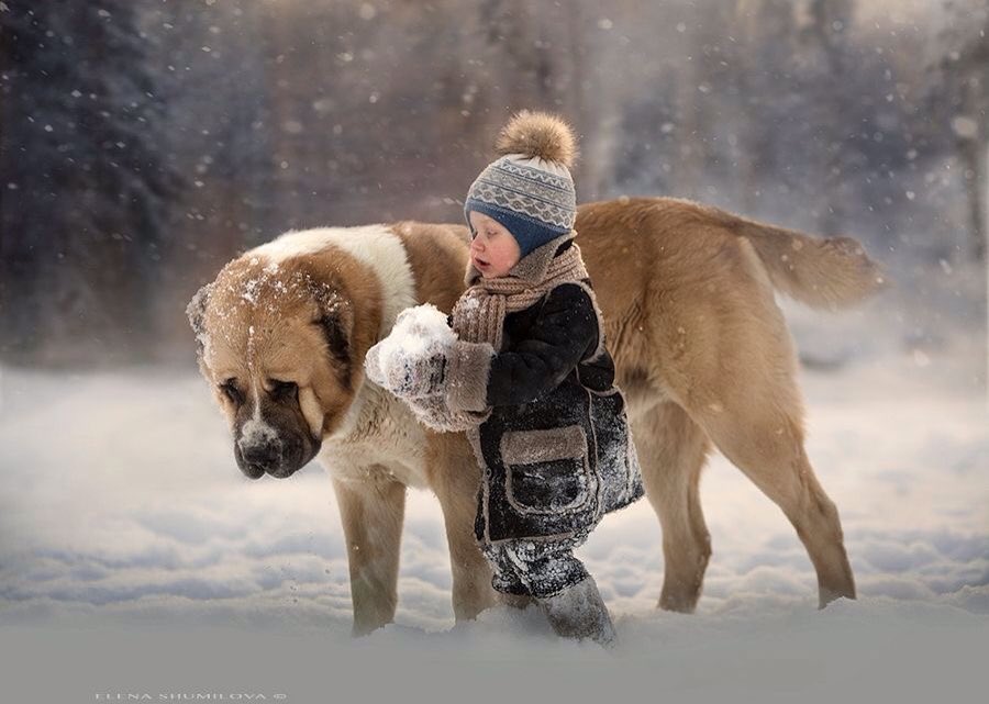 ramblingsloa's tweet photo. A friend is someone who knows the song in your heart, and can sing it back to you when you have forgotten the words.

D Roberts https://t.co/YO7p6J2fX7