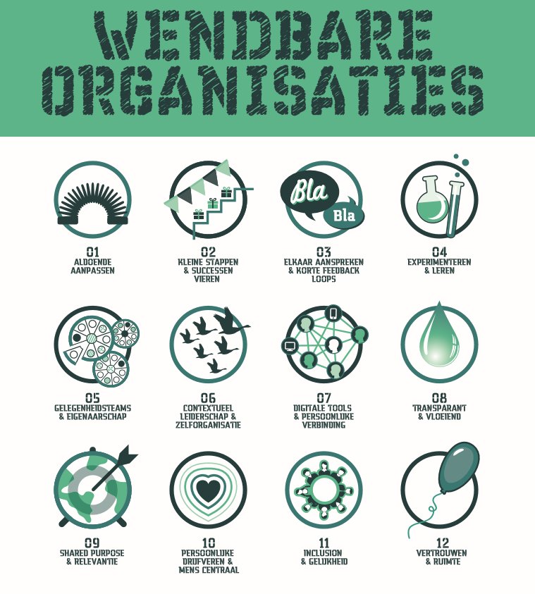 "De 12 ingrediënten van Wendbare Organisaties" Schrijf je in voor de 2-daagse training op 16 &amp; 17 feb 2017 >>> dianarusso.nl/presentaties-w…