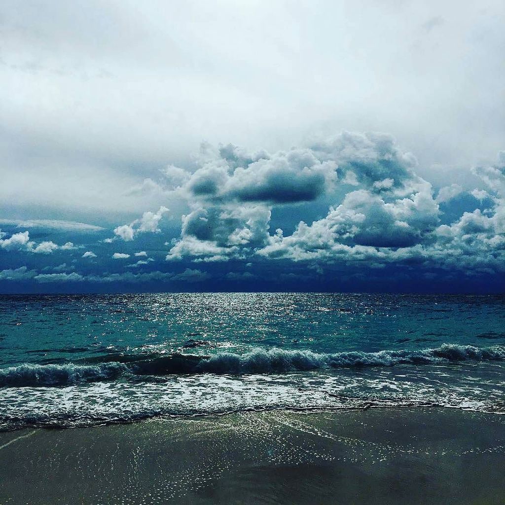 WeAreBermuda's tweet photo. When the sun doesn't shine and the sand isn't pink, there is still beauty here 🌴☁️ 📷:@naturalbda
#bermudawinter #th… https://t.co/xxkkJ8rve9