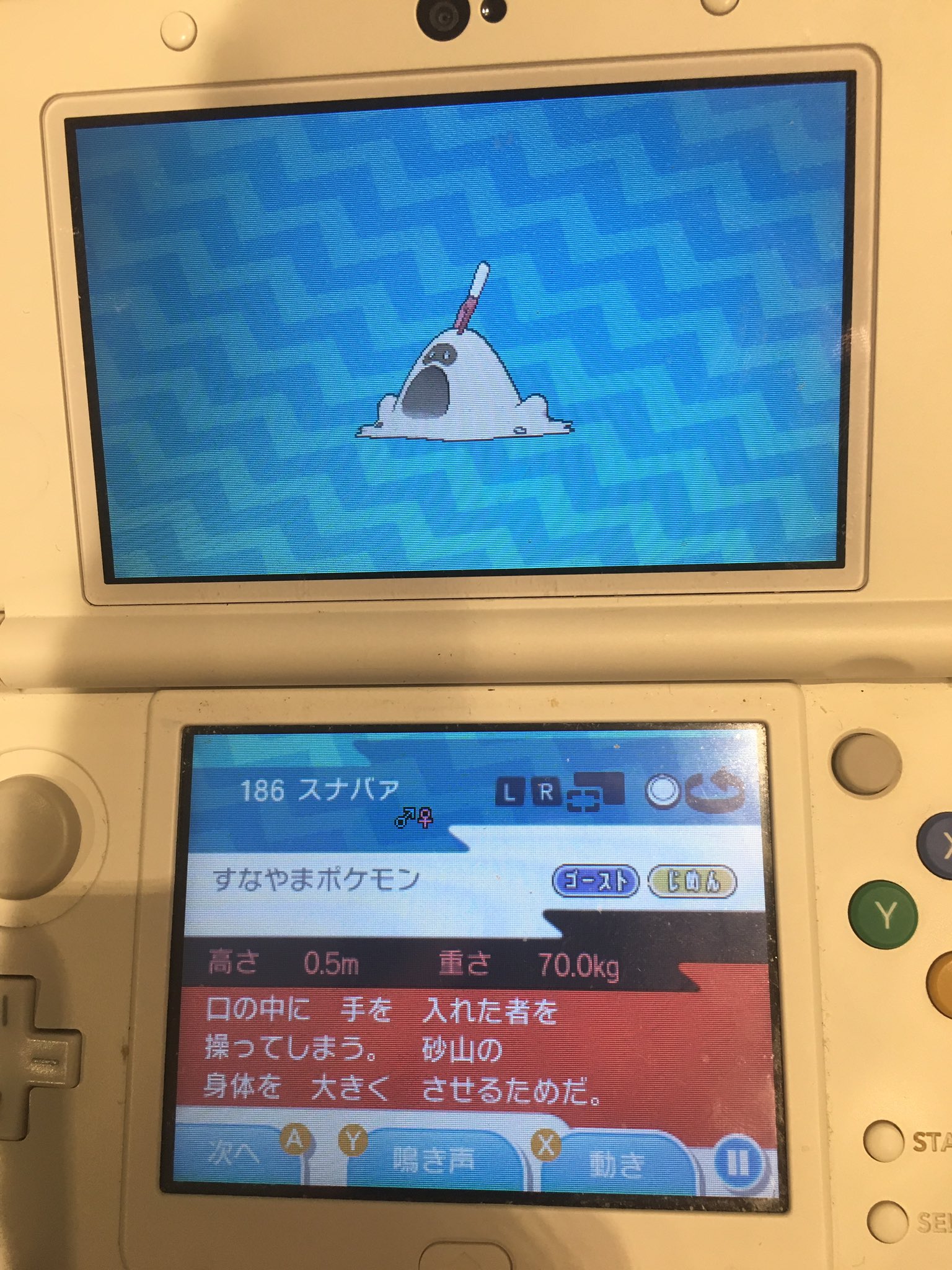 どせいヨッシー 4 3dq11聖剣伝説 ハノハノビーチにて捕まえたポケモンたち ヒトデマンとケイコウオからわかる水 ポケモンの勢力図 キャモメ ケイコウオ ネオラント ヒトデマン 今回のポケモン図鑑の説明は余談的なのが多くて なかなか面白い T