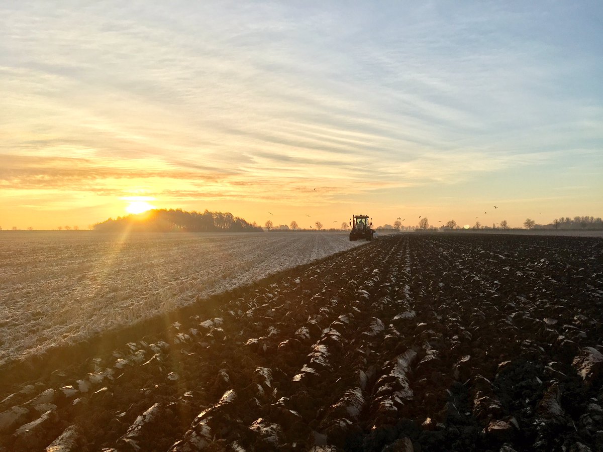 Lovely morning for some winter ploughing, only a few days work left now.