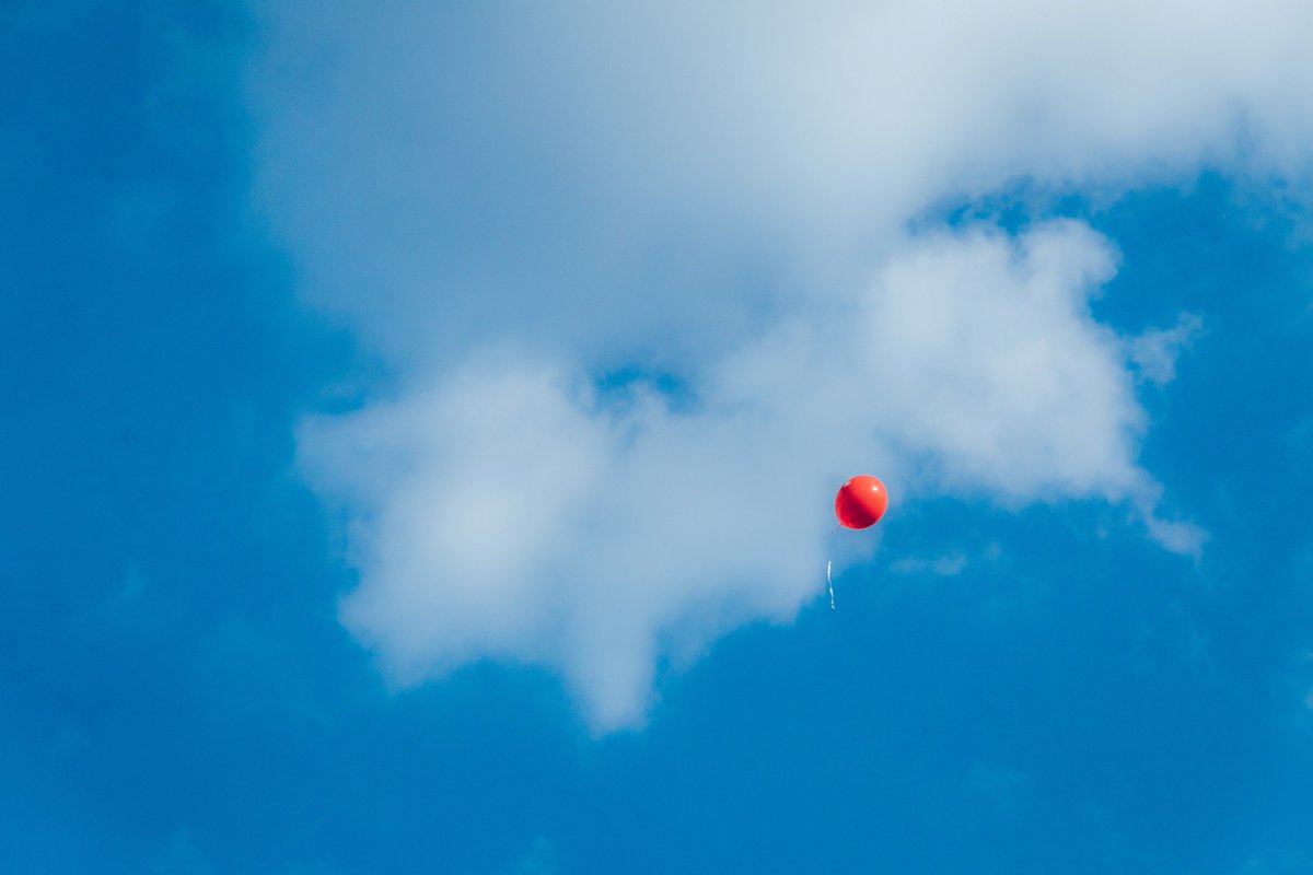 Koukichi_T's tweet photo. #OutsiderIn https://t.co/Dfm2IiL0Ng

#ファインダー越しの私の世界 #ktpics #EyeEm #flyinghigh #balloons #red #bluesky #minimalism #coregraphy #カコソラ #風船 https://t.co/L85JGXMAOa