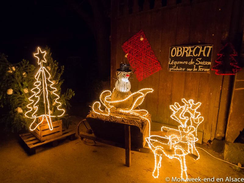 Laurène Philippot tweet media