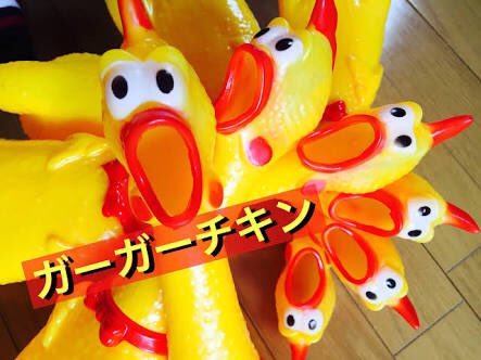 海斗 このおもちゃ 正式名称は Shouting Chicken 叫ぶニワトリ のようです ガーガーチキンじゃないのか