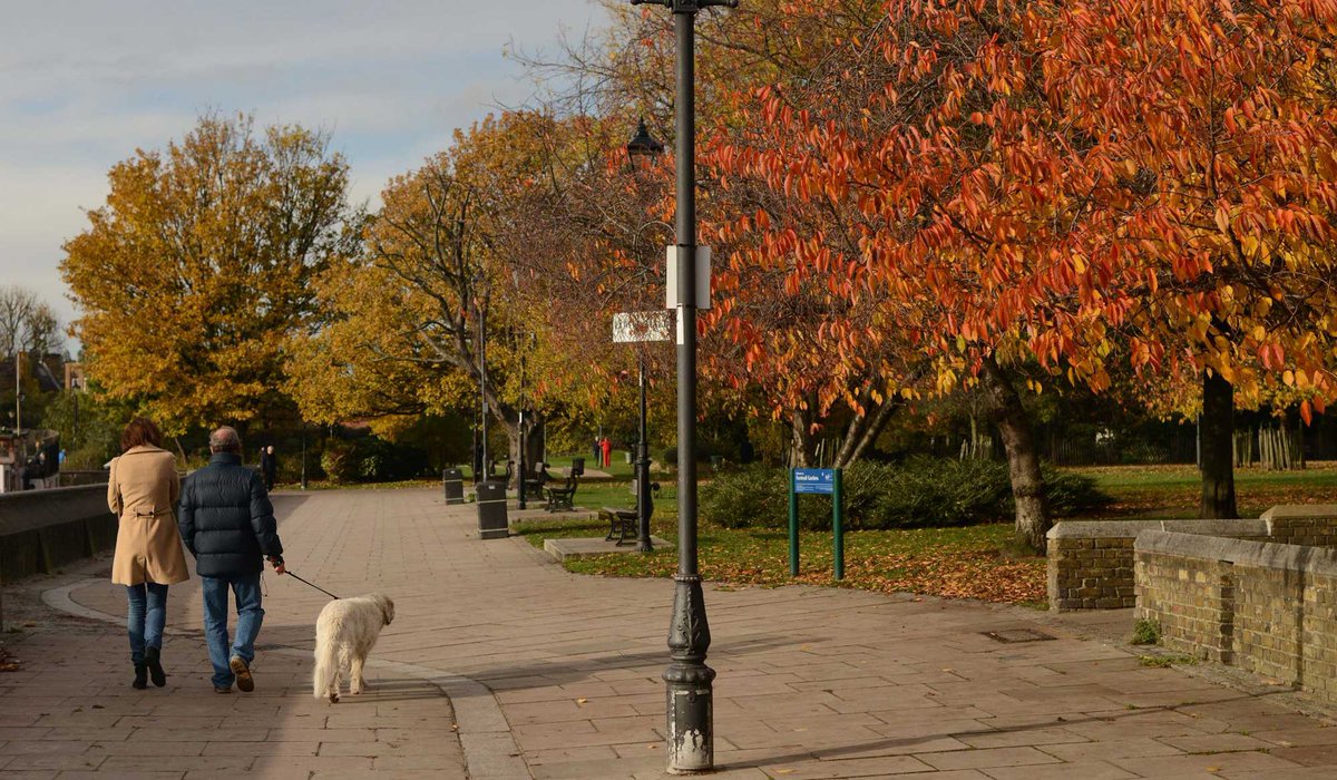 Families flock to this west London district thanks to a riverside setting and top private schools: homesandproperty.co.uk/area-guides/ha…