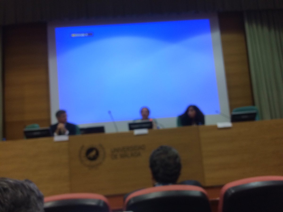 DSS en la gestión de cuenca. Proyecto SAID. Presentación en la universidad de Málaga