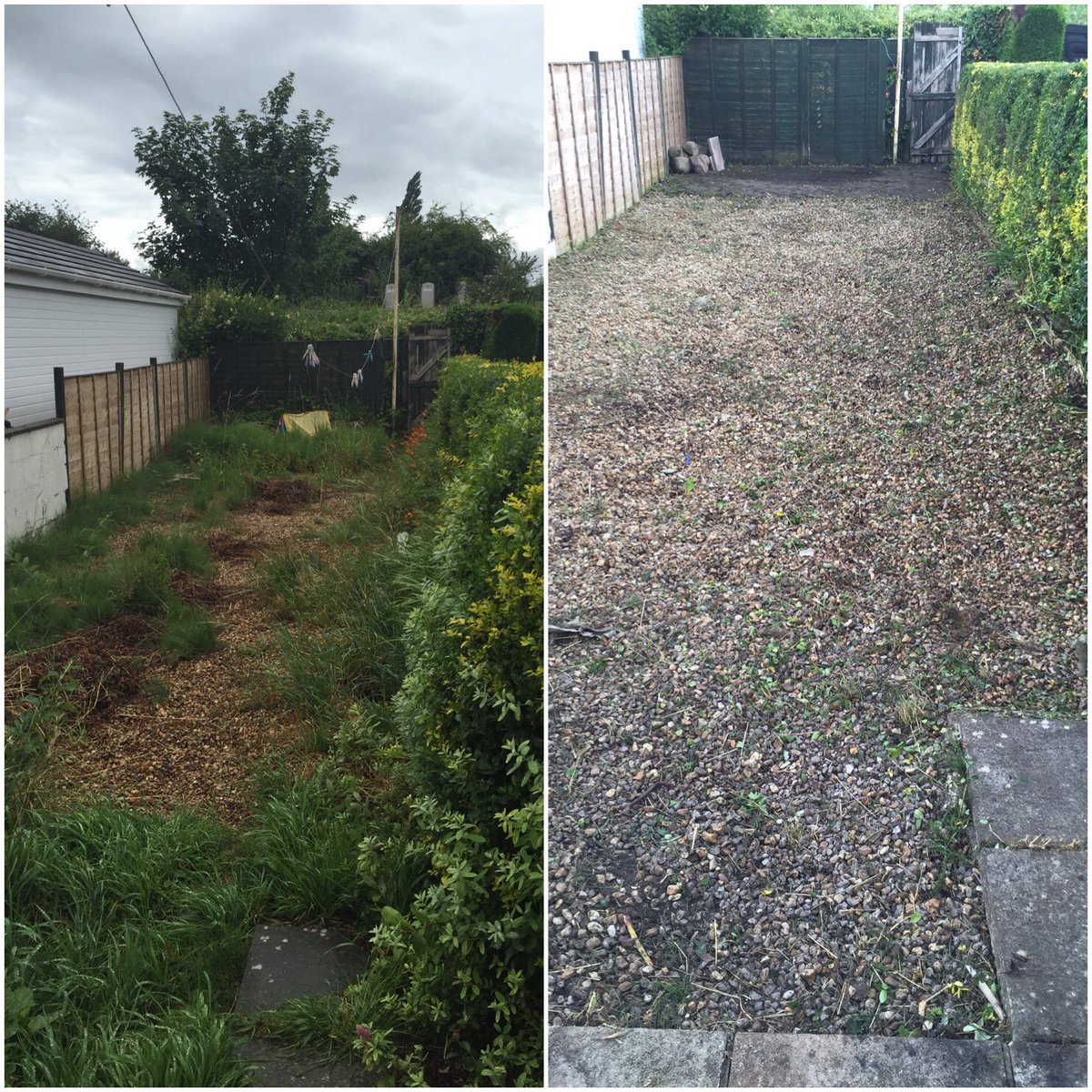 TRtrees (@trtrees_) on Twitter photo 