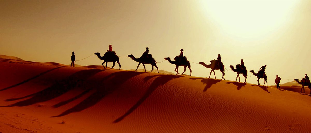 DayOutFunTours's tweet photo. Camel riding this afternoon with us! For your #desertsafari trips book now!
https://t.co/OsZIdzT3cz https://t.co/se99aMTLQx