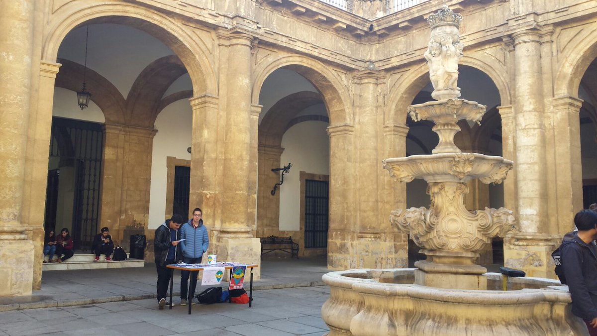 SarusSevilla's tweet photo. Nuestros voluntarios de #HaitíUS continúan hoy en Rectorado, Medicina, Psicología, Comunicación, ETSI y UPO
#LaUniónHaceLaFuerza https://t.co/DfrjmWphRw