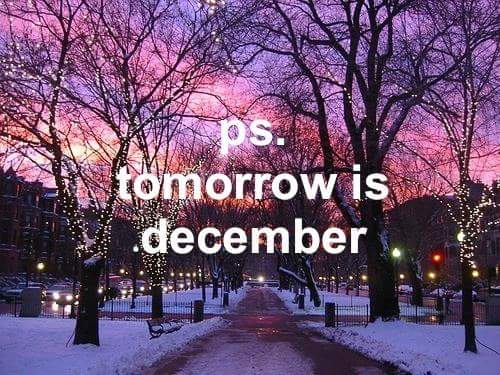 HarleyStSmile's tweet image. #AlmostFriday #AlmostDecember 🎅