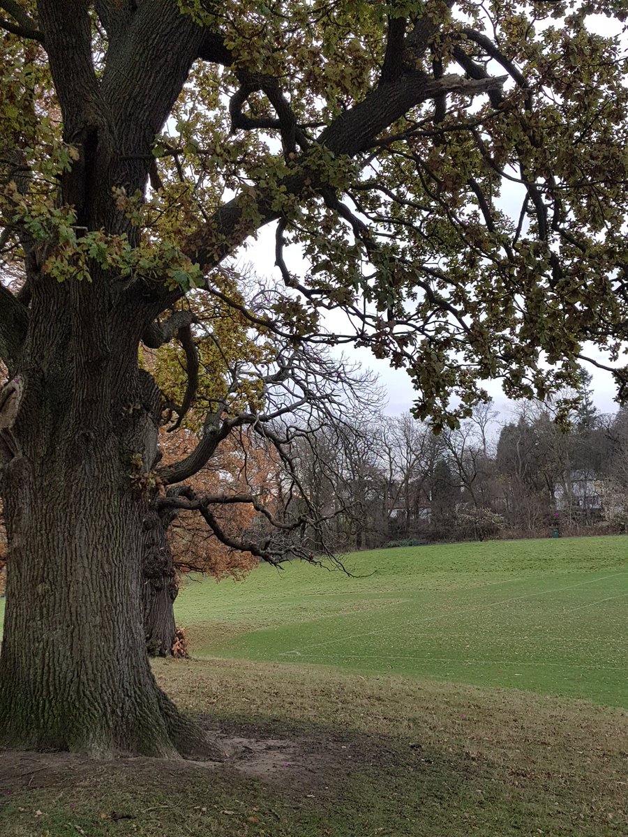 Beautiful autumn morning in #Edinburgh #countyourblessings