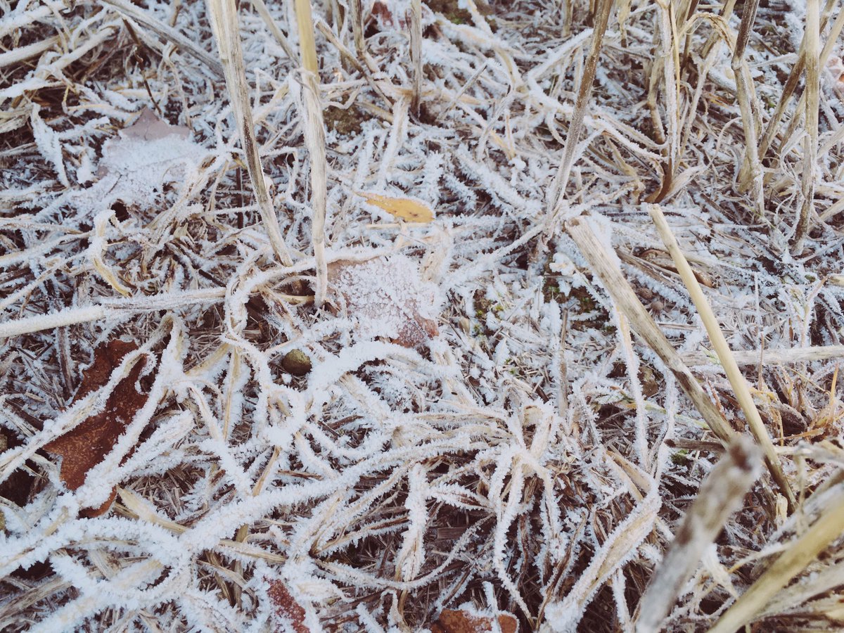 MountLiming's tweet photo. Itโs a cold one in #Maldon this morning for #phmapping #essex https://t.co/h2vuwQ3HXa
