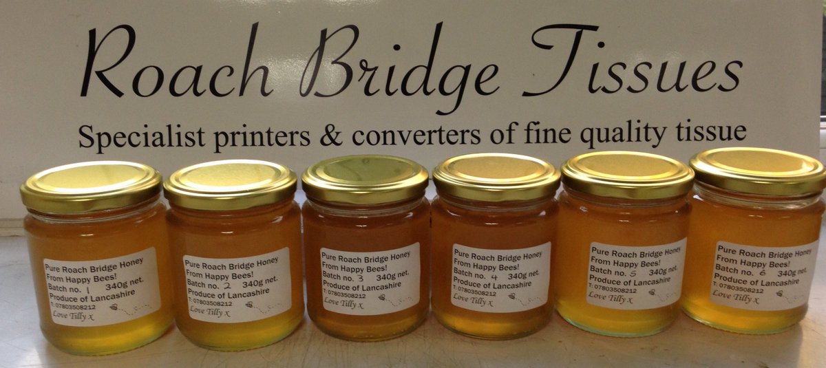 Roach Bridge Tissues tweet media