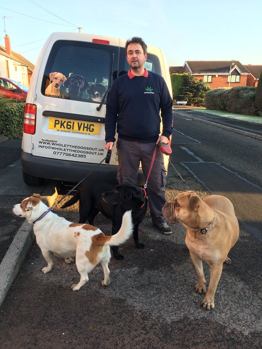 dogwalking70's tweet photo. Out with these beauties 🐶 https://t.co/SyOkIHLymz