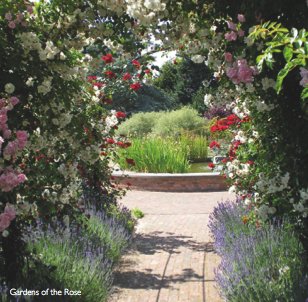 *Special Offer* RNRS Calendar £4.95 &amp; FREE P&amp;P, limited stock! #ChristmasGiftIdeas #gardening #roses #stalbans tinyurl.com/zybowrm