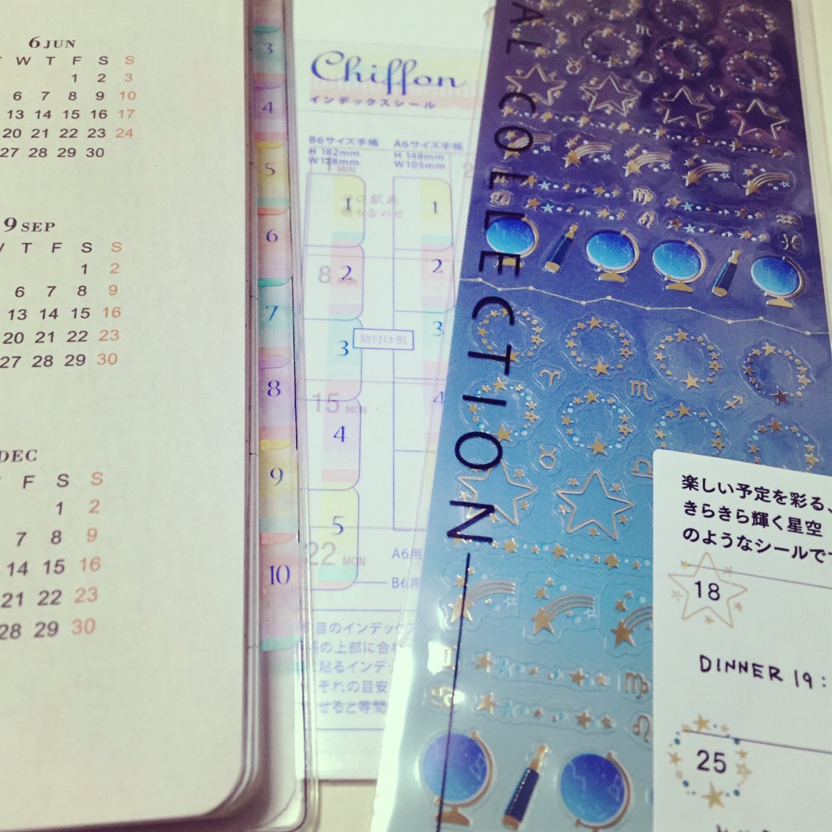 綾野 A Twitter ハンズでかわいいインデックスシール見つけたので 手帳にインデックス を付けてみた 持ち歩く用はだいたい10月頃に買って11月から本格的に使うので インデックスは上から11月から始まる並びです 日付に印できるシールも一目惚れでお買い上げ