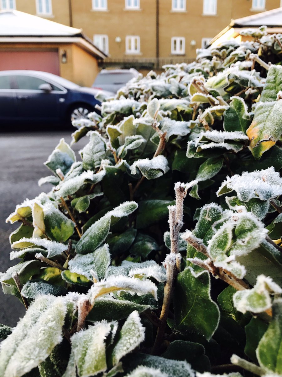 kyleleslie96's tweet photo. Feels a bit more like winter this morning ❄️ https://t.co/EYGE6tTIk0