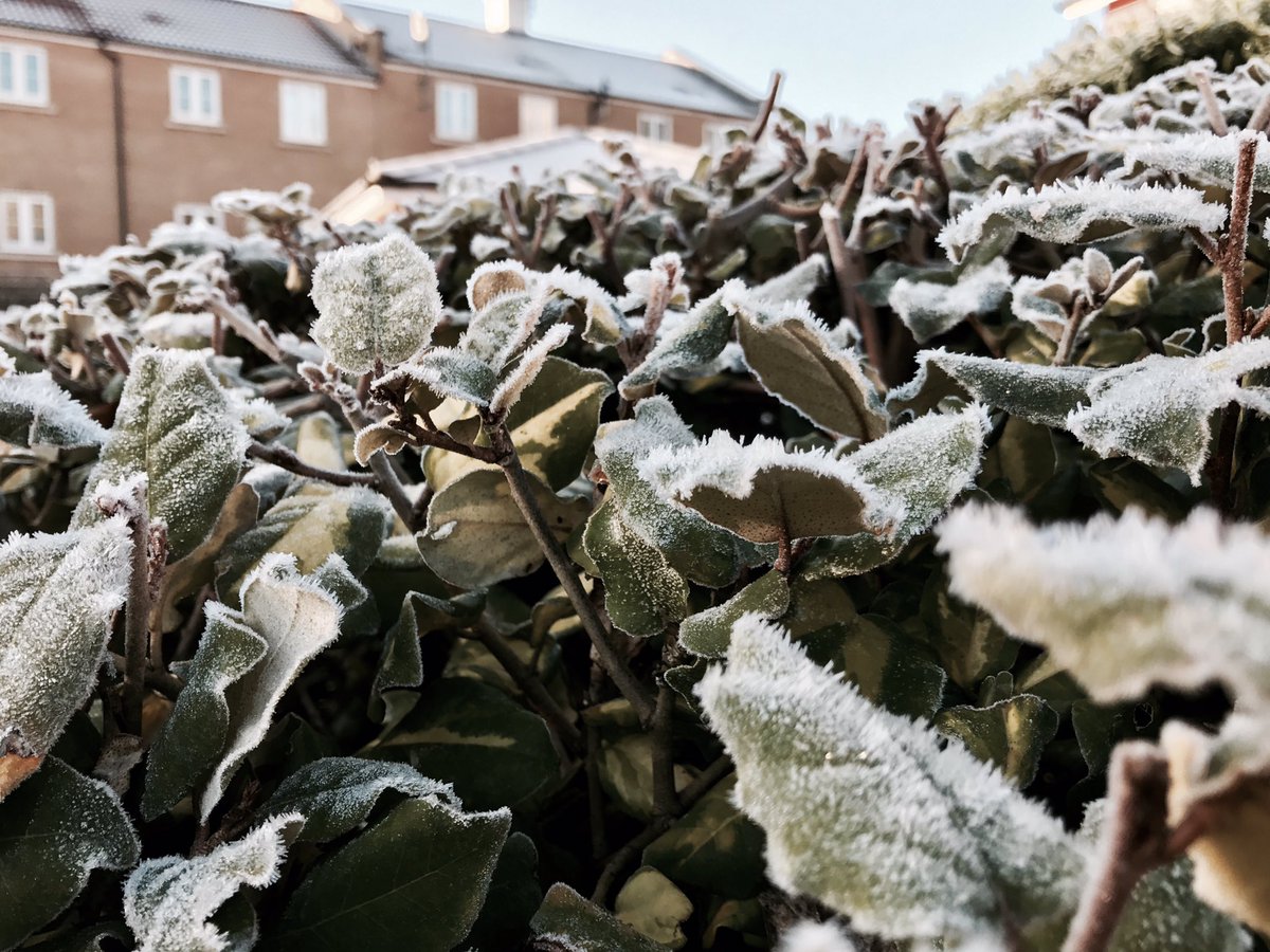 kyleleslie96's tweet photo. Feels a bit more like winter this morning ❄️ https://t.co/EYGE6tTIk0