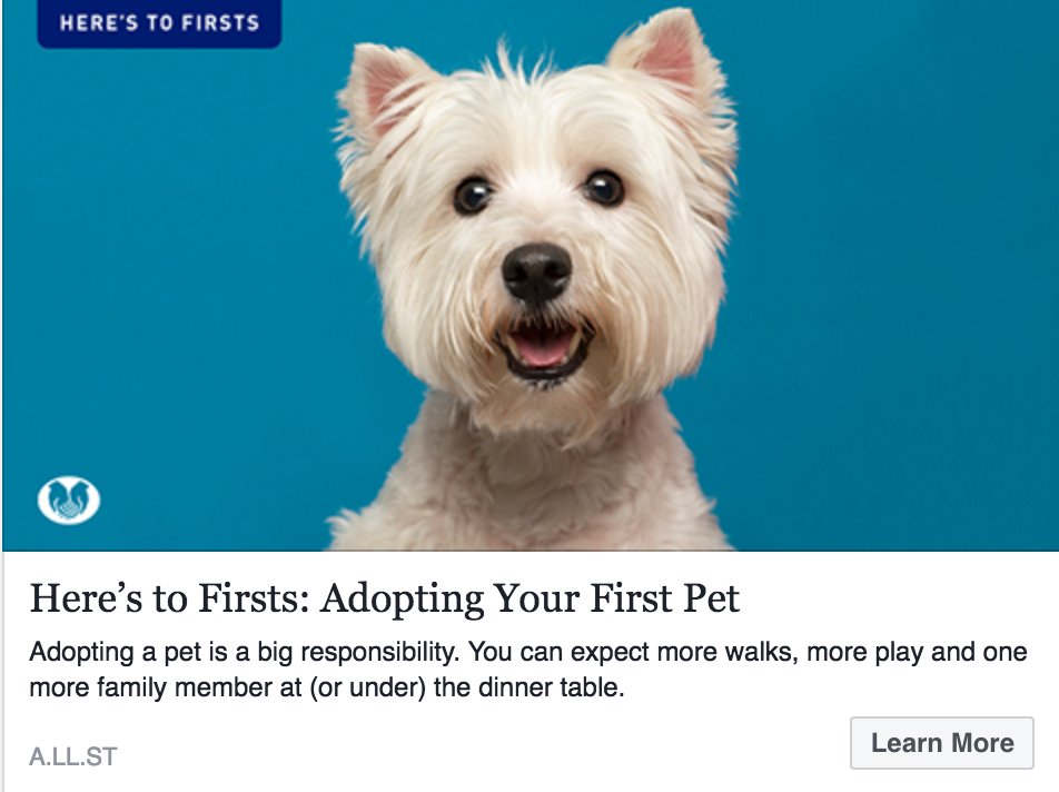Crowe_Agency's tweet photo. Finally ready to get your first furry friend? Check out our pet adoption tips! #HeresToFirsts - https://t.co/6G9AqoGvvb https://t.co/pgL24YcaFn