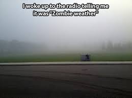 KatherineDines's tweet photo. Glad I'm not driving in the dark this morning! #Zombieweather #Ottawa π² https://t.co/vzcViI04Nb