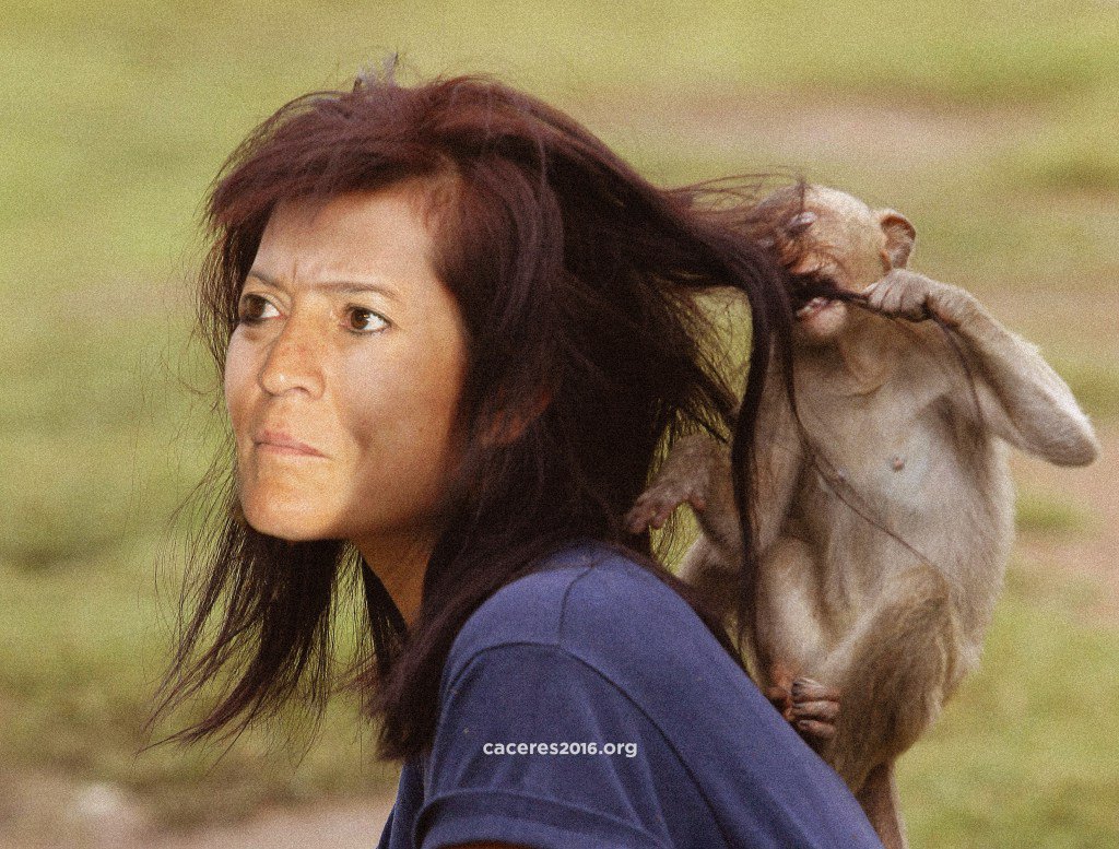 Elena Nevado sufre el ataque de un mono en la Ribera del Marco …erescapitalcultural2016.wordpress.com/2016/11/30/ele…