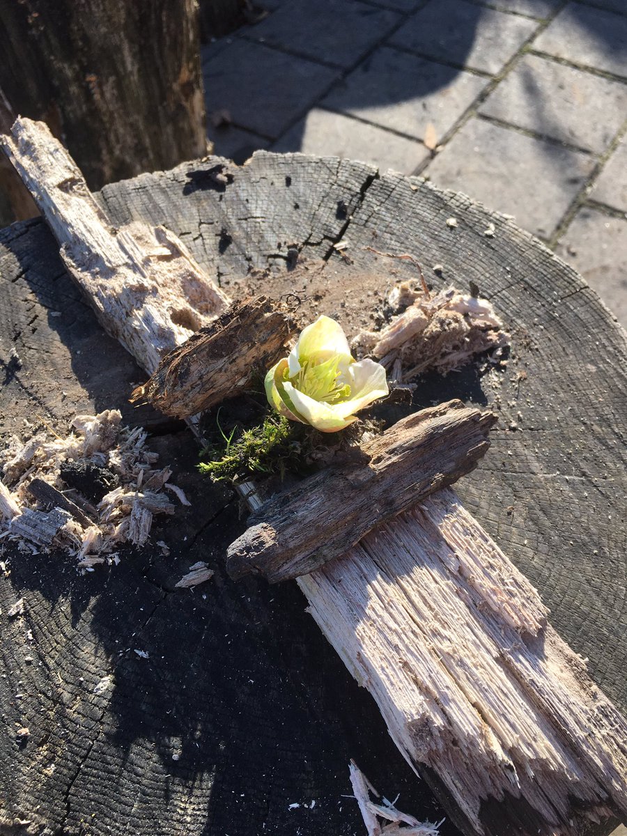 wkirkwood's tweet photo. Student designs with nature #zislearns #zismade https://t.co/Jym7iUvy8I