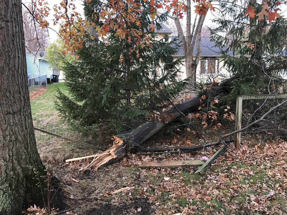 nikigleason's tweet image. Bad day? No way!  #treegone #iamwomenhearmeroar #life #wind #nature