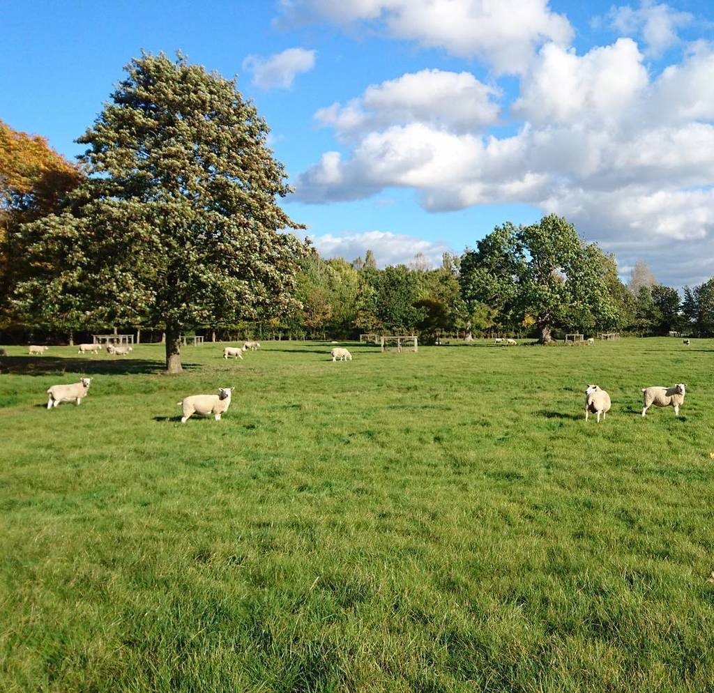 Media Tweets by Croxton Park (croxtonpark) Twitter