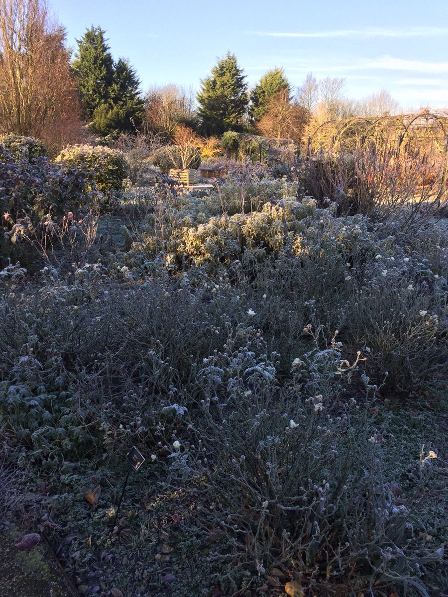 RoyalNationalRoseSoc tweet media