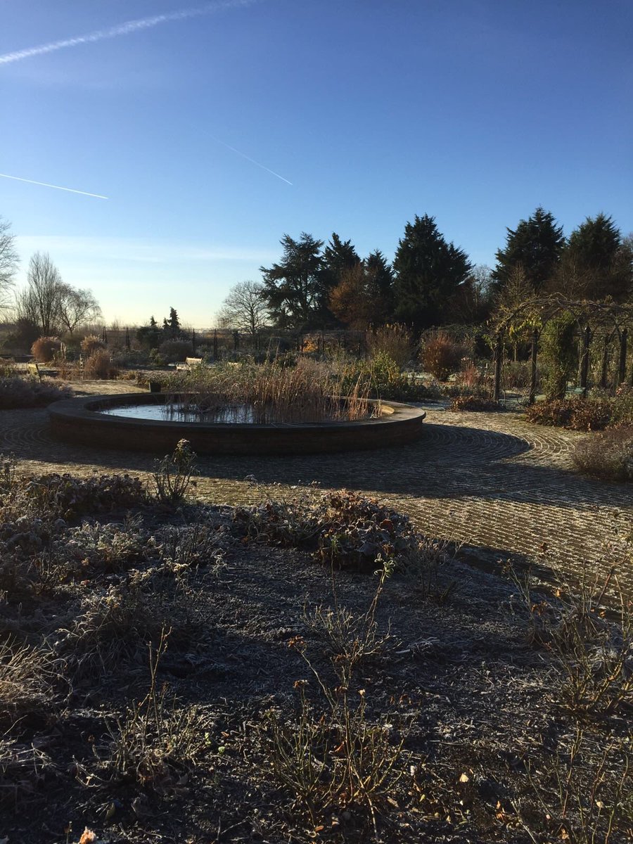 Morning frost ❄️#TheGardensOfTheRose