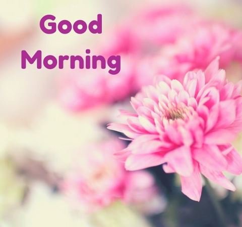 Podiatrists's tweet photo. Good morning, everyone! https://t.co/8fuTzahnlA