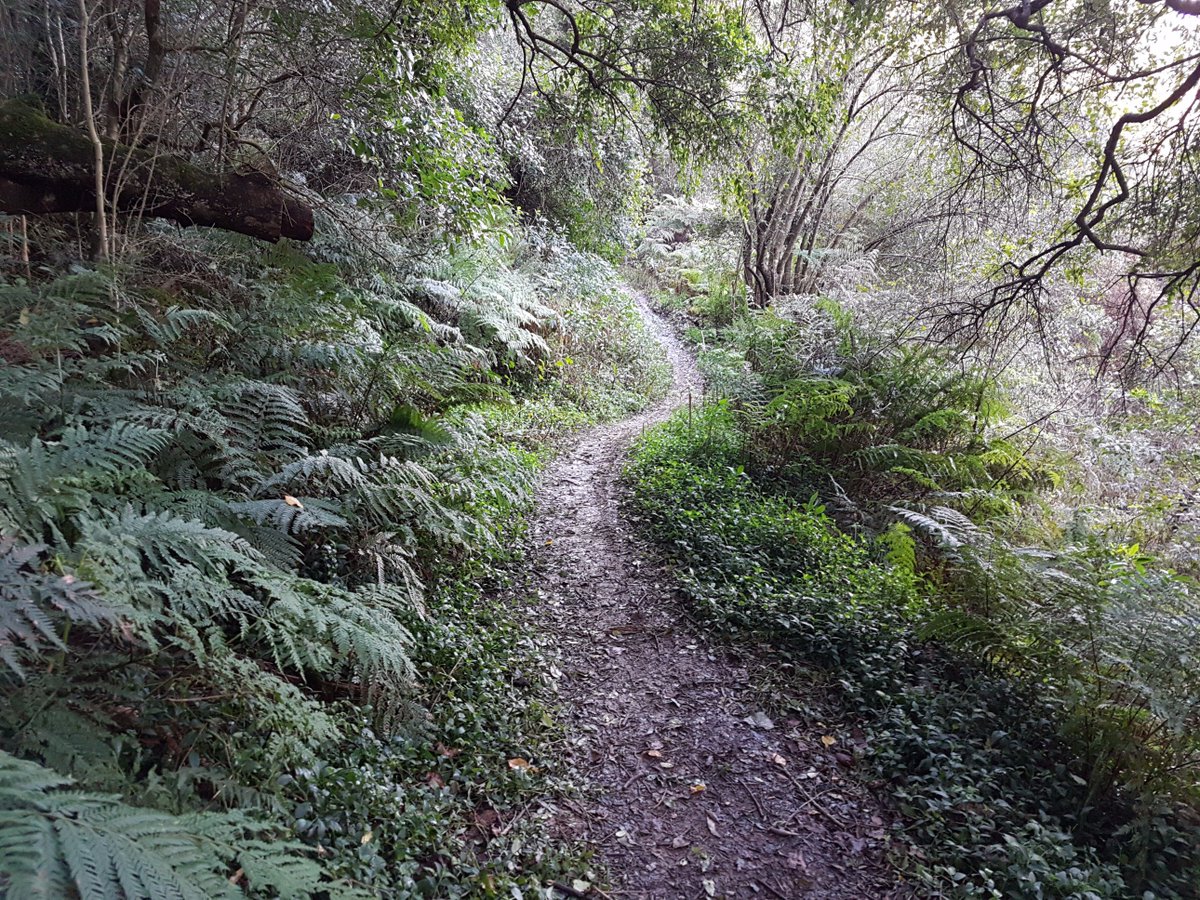 Our  single tracks are calling your name! #trailrepublic #gotogeorge #georgetrails #gardenroute #greensport #eden #cityofgeorge #mtb