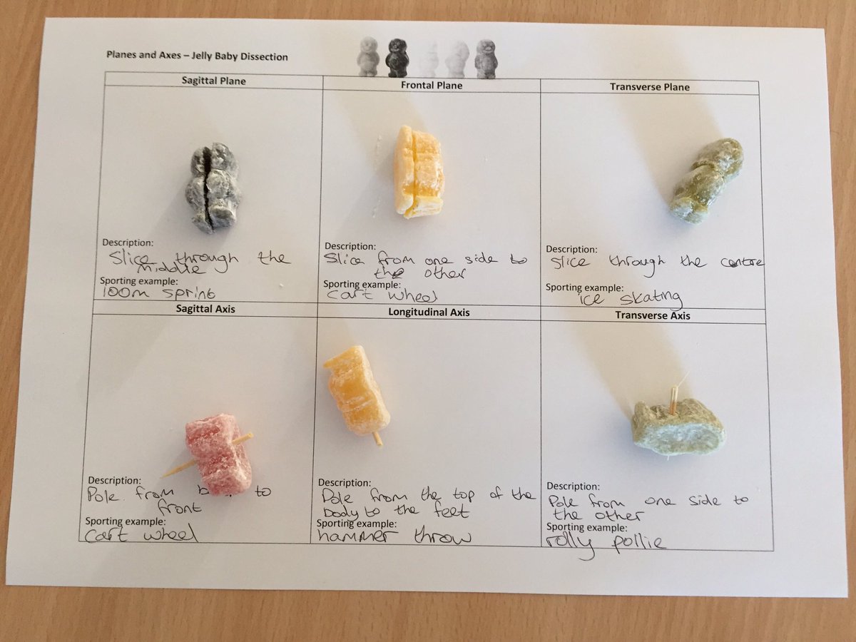 HanhamPE's tweet photo. Students learning about planes and axes through jelly baby dissection #coolPE #teachingandlearning #athleteslovesweets https://t.co/sK8yz7ATS0