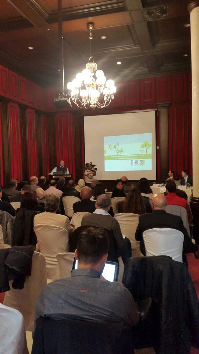 Nour Masri (masrinour) Twitter