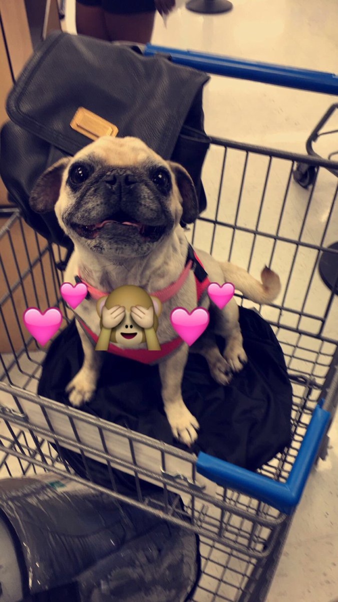Prince_Angeel's tweet photo. 2 weeks without my baby was way to long 😪😩 can't wait to see her https://t.co/1Wn3xj4R2b