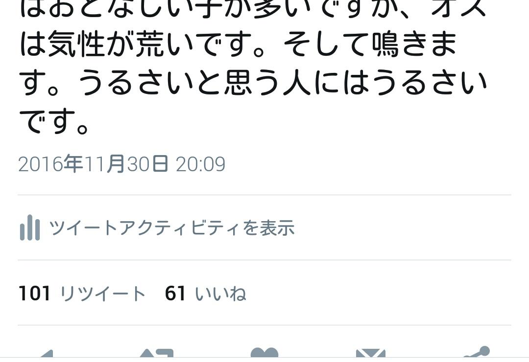 安易にスーパーに売っているウズラの卵を孵化させないで Togetter 安易にスーパーに売っているウズラの卵を孵化させないで Togetter